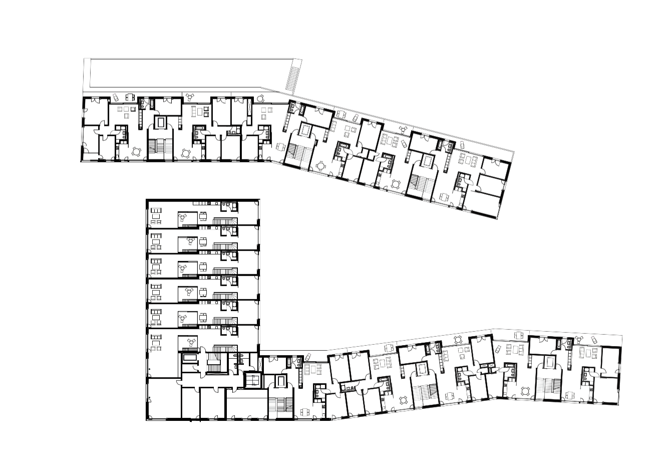 10_planta