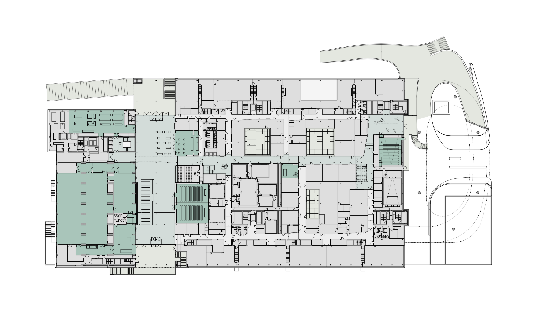 20_planta